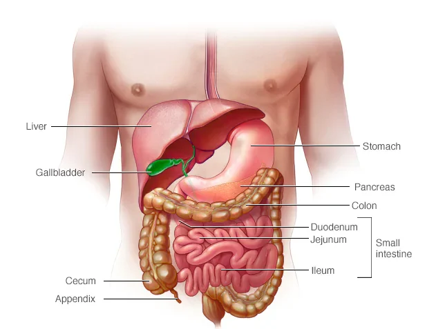 IBD treatment in Jayanagar