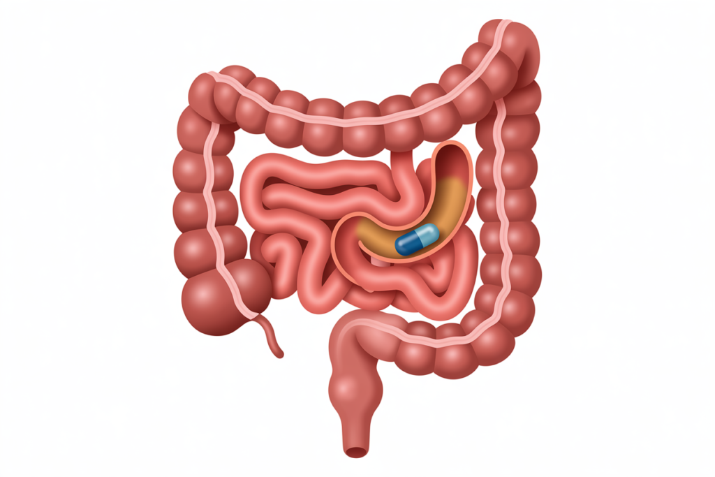 Wireless motility capsule used to measure digestive transit time